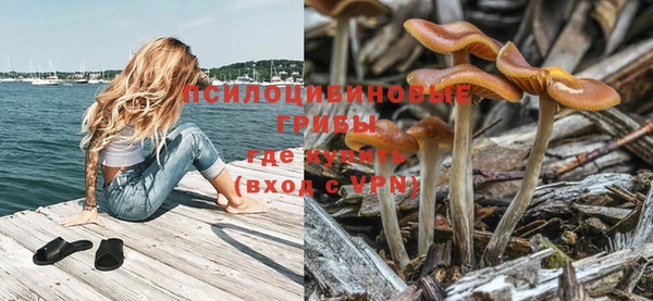 не бодяженный Горнозаводск