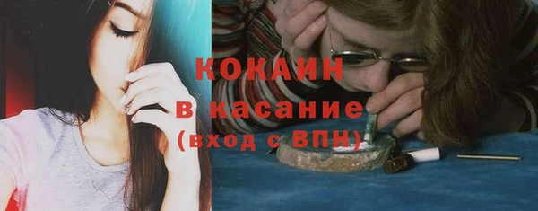 СК Сафоново