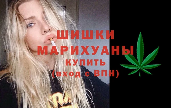 ПСИЛОЦИБИНОВЫЕ ГРИБЫ Горняк