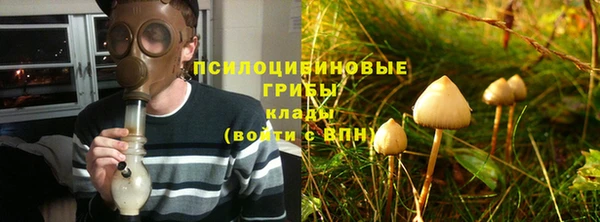 ПСИЛОЦИБИНОВЫЕ ГРИБЫ Горняк